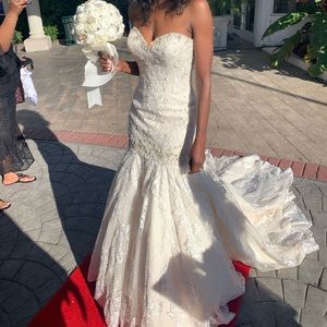 Mermaid Style Wedding Dress (Veil Sold Sep)